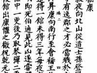 纯学术的妙真道