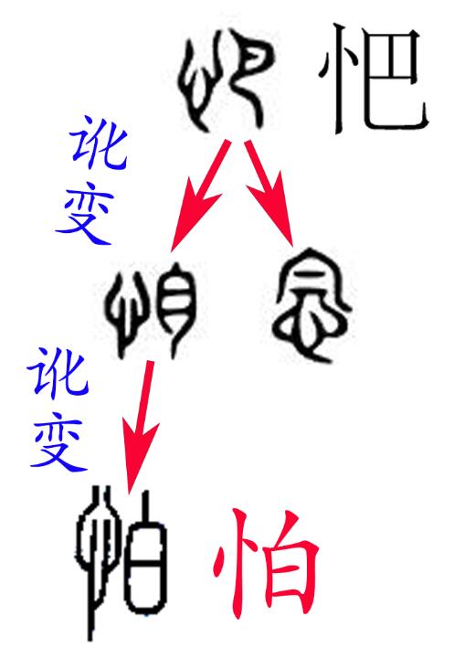 《说文》改错-怕（连载16）